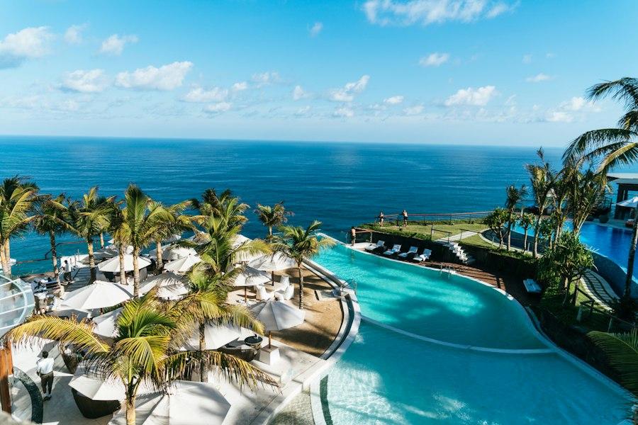 A curved infinity pool with palm trees and the ocean behind